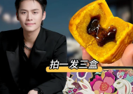 2024：网红塌房一片废墟